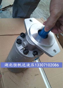cb fe25f f4l2 1r 22p30齿轮泵详细说明